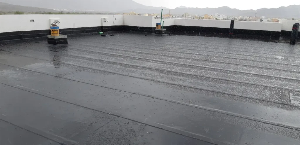 "Waterproofing Membrane for APP: Discover Its Features, Types, and Applications"